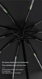 Automatic Umbrella with 10-Rib Windproof
