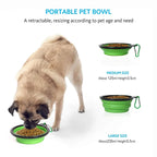 Pet Food Storage & Collapsible Bowl