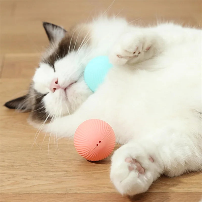Smart Eletronic Pet Toy