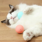Smart Eletronic Pet Toy