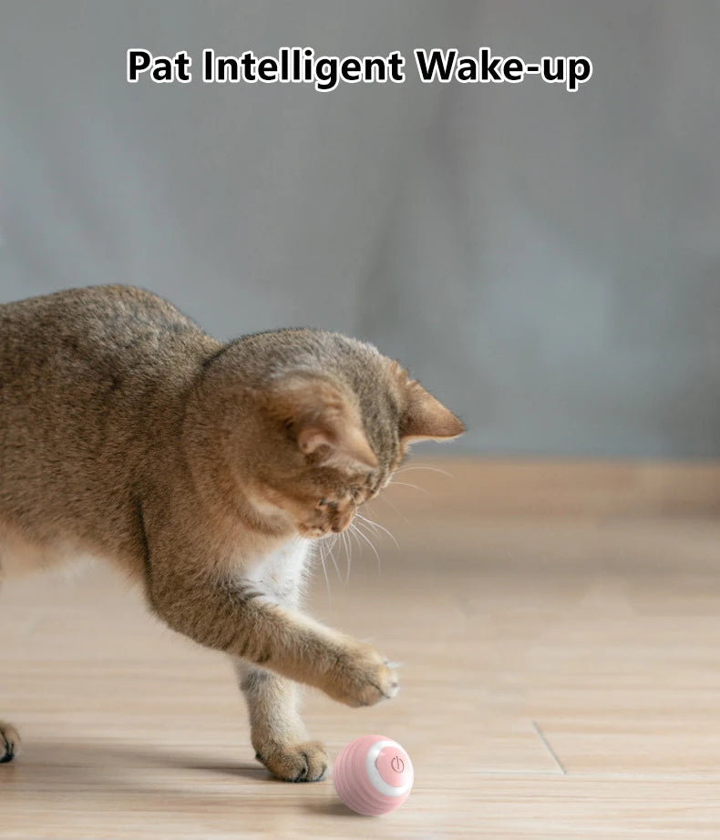 Smart Interactive Ball for Cats