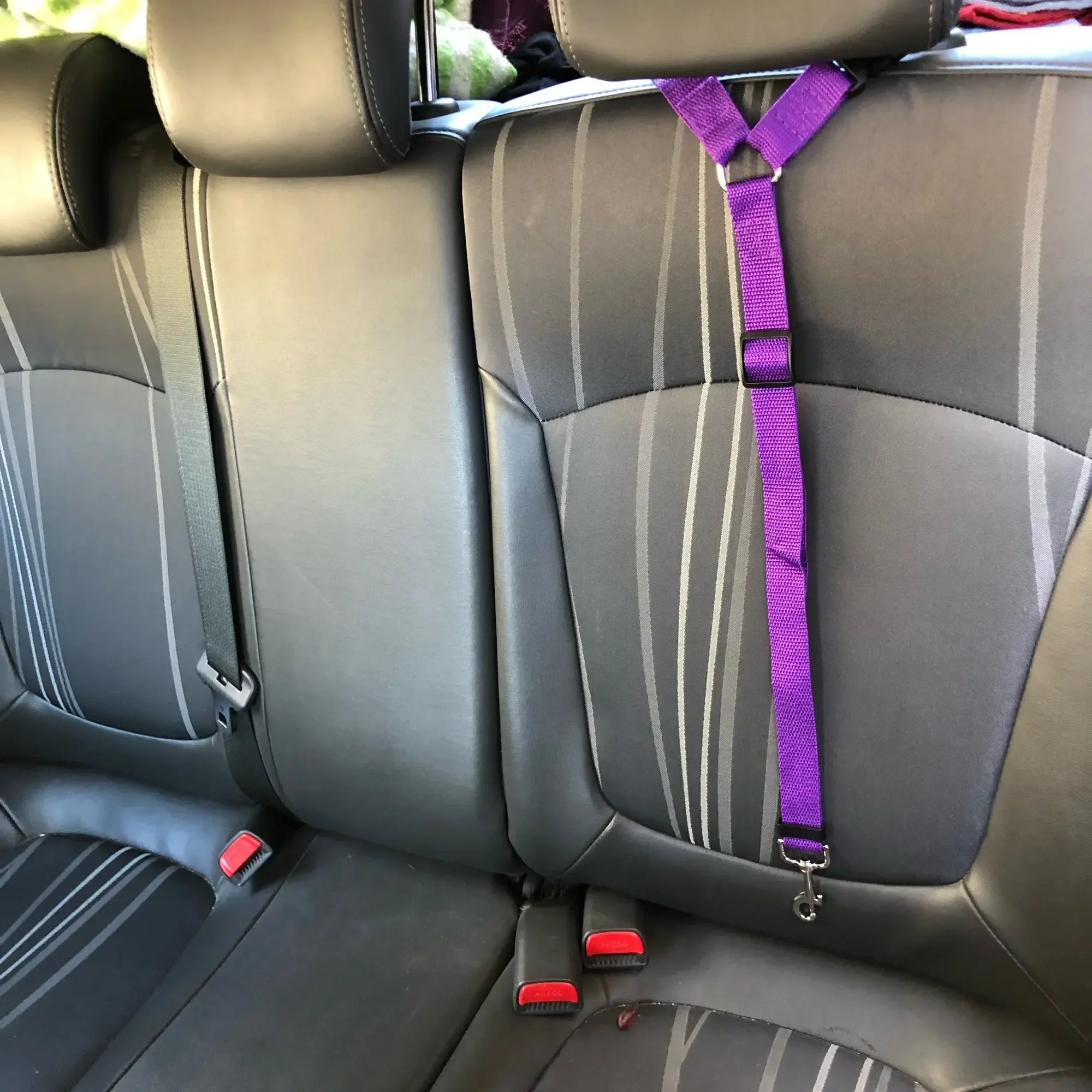 Car Safety Seatbelt for Pets