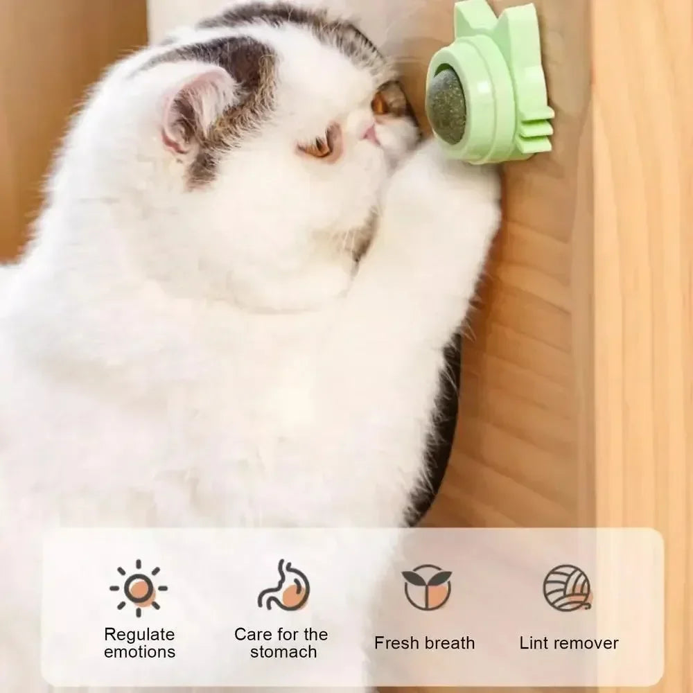 Natural Catnip & Mint for Cats