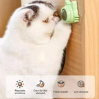 Natural Catnip & Mint for Cats