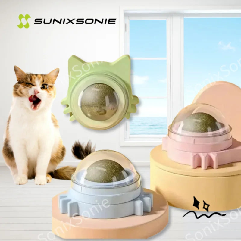 Natural Catnip & Mint for Cats