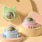 Natural Catnip & Mint for Cats