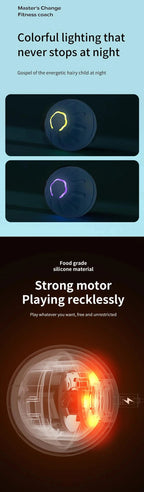 Smart Eletronic Pet Toy