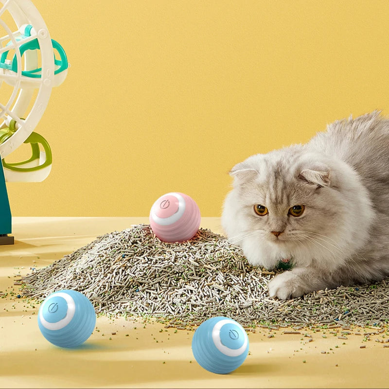 Smart Interactive Ball for Cats