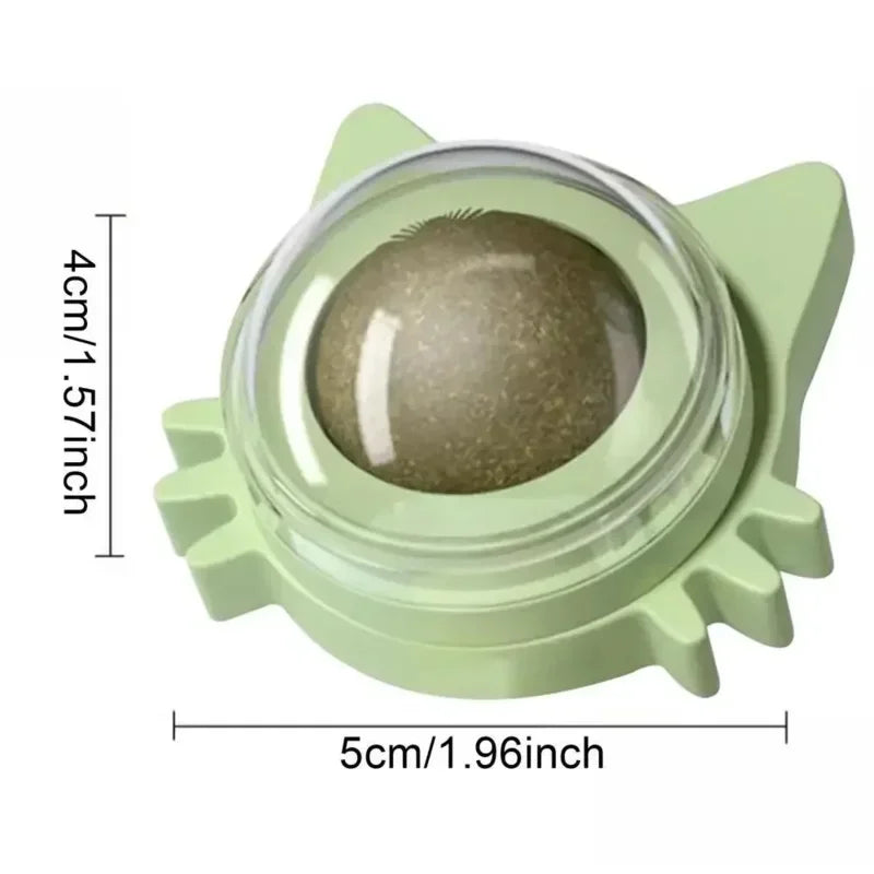 Natural Catnip & Mint for Cats