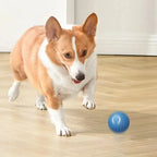 Smart Eletronic Pet Toy