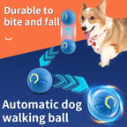 Smart Eletronic Pet Toy