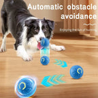 Smart Eletronic Pet Toy