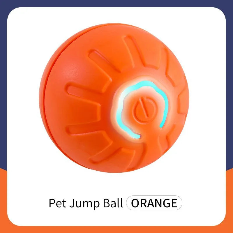 Smart Eletronic Pet Toy