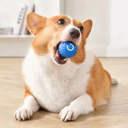 Smart Eletronic Pet Toy
