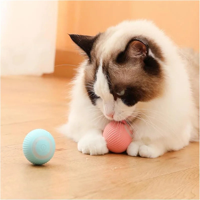 Smart Eletronic Pet Toy