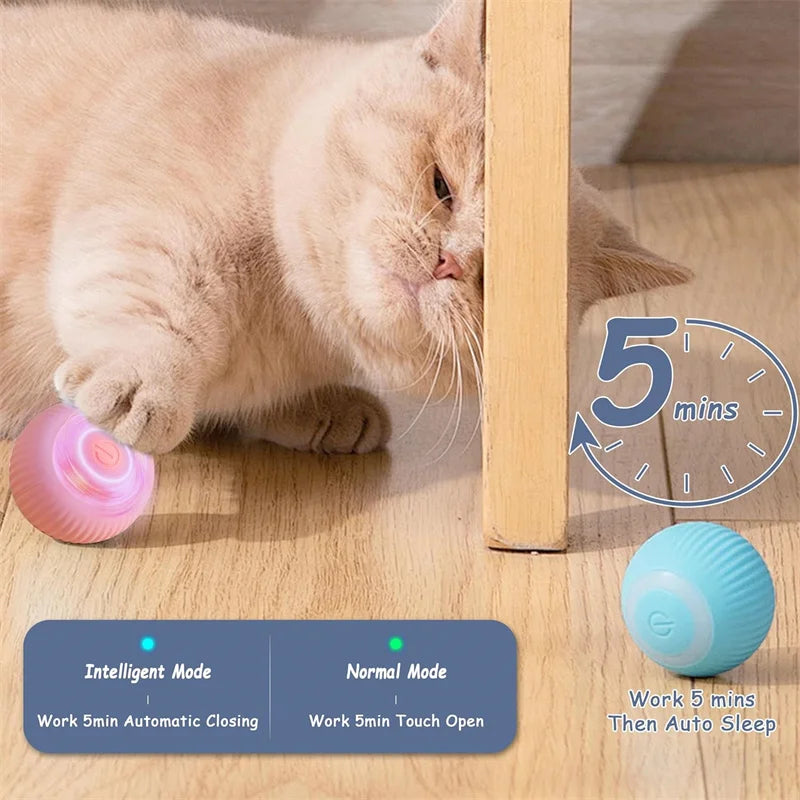 Smart Eletronic Pet Toy