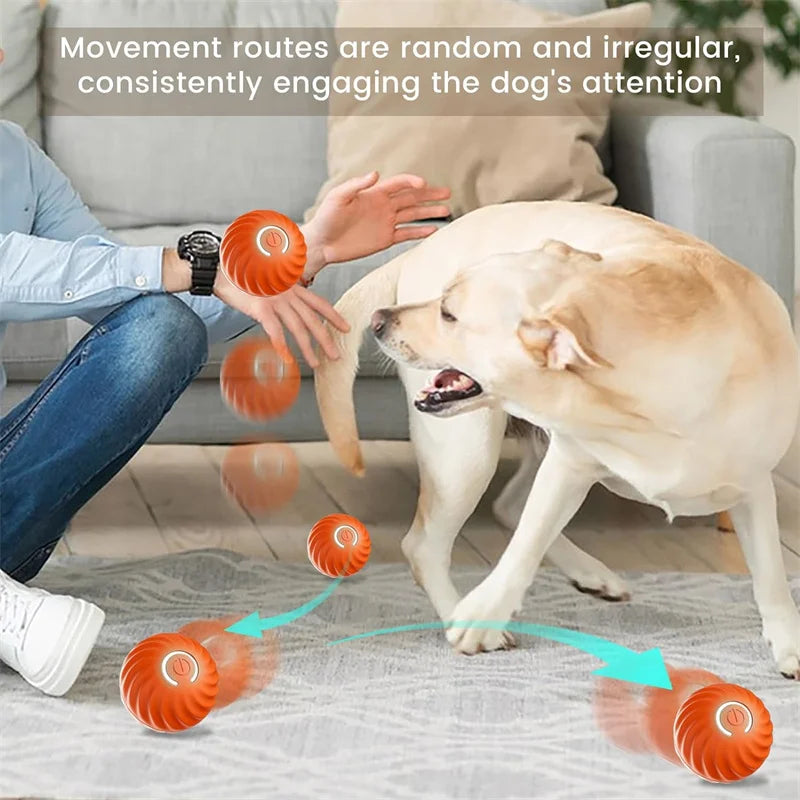 Smart Eletronic Pet Toy