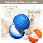 Smart Eletronic Pet Toy