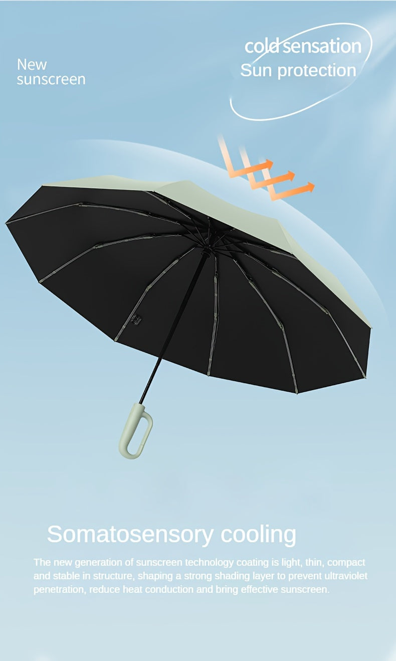 Automatic Umbrella with 10-Rib Windproof
