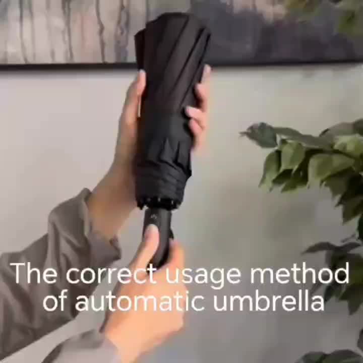 Automatic Umbrella with 10-Rib Windproof