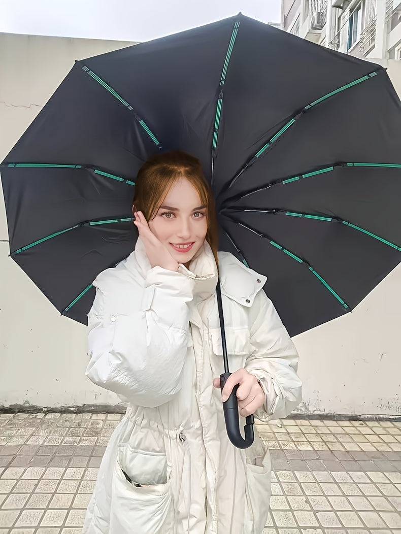 Automatic Umbrella with 10-Rib Windproof